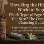 Types of sage Types of sage