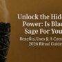 Black Sage Burning | The Complete Guide 2026 Black Sage Burning | The Complete Guide 2026
