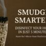 What is Sage Cleansing: How to Disinfect Your House in 5 Minutes What is Sage Cleansing: How to Disinfect Your House in 5 Minutes