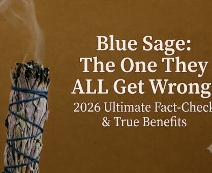 Blue Sage 2026 |The Plant Most Sage-Burning Guides Get Wrong