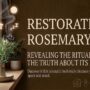 Rosemary as a Smudging Herb Does It Work? Rosemary as a Smudging Herb Does It Work?